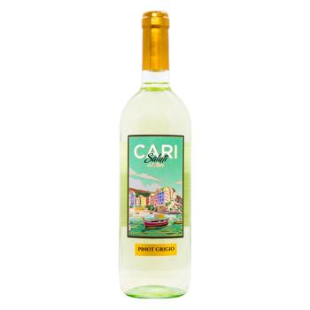 Вино Cari Saluti Pinot Grigio белое сухое 11,5% 0,75л - купить, цены на - фото 1