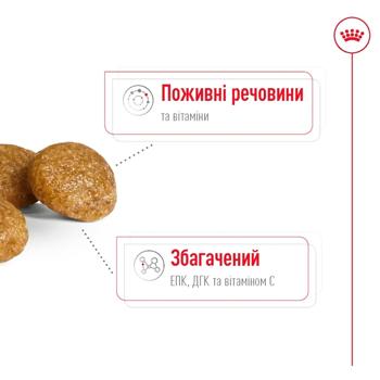 Royal Canin X-Small Adult 8+ Dry Food with Poultry for Dogs of Miniature Breeds 3kg - buy, prices for MasterZoo - photo 2