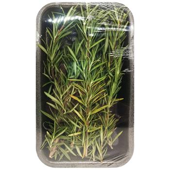 Rosemary