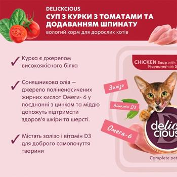 Delickcious Soup with Chicken, Tomatoes and Spinach for Cats 80g - buy, prices for - photo 5