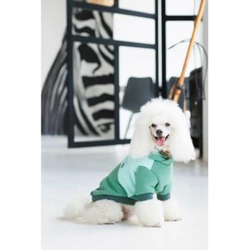 Худі для собак Pet Fashion Woody XS - купити, ціни на MasterZoo - фото 6