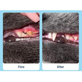 ProDen PlaqueOff Soft Chews Oral Care for Cats 90g - buy, prices for MasterZoo - photo 2