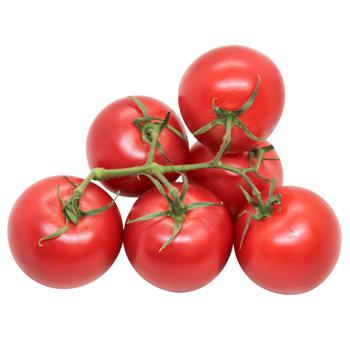 Pink Tomato on Branch - buy, prices for - photo 1