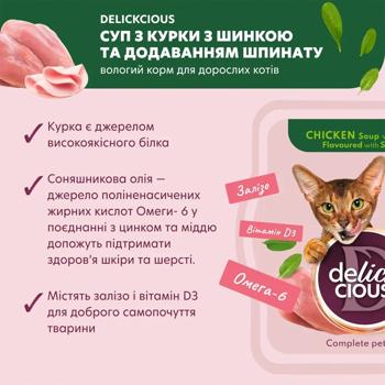 Delickcious from Chicken with Ham and Spinach Soup for Cats 80g - buy, prices for - photo 5