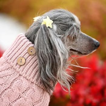 Noble Pet Antony светр для собак XS - купить, цены на MasterZoo - фото 7