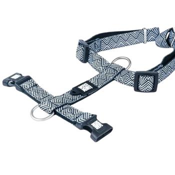 Leash - buy, prices for MasterZoo - photo 2