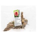 Коренебульба жоржини декоративної Салмон Ранер (1 шт)