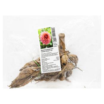 Коренебульба жоржини декоративної Салмон Ранер (1 шт) - купить, цены на МегаМаркет - фото 1