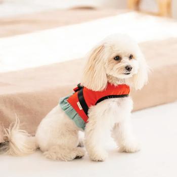 Leash Pet fashion - buy, prices for MasterZoo - photo 4