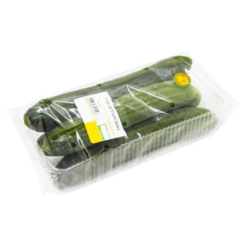 Cucumber packing - buy, prices for - photo 1