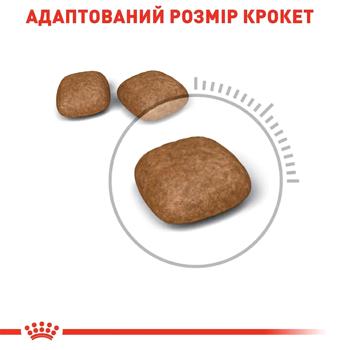 Набір корму Royal Canin Urinary Care для котів із захворюваннями сечовивідних шляхів cухий 2кг + вологий 4шт х 85г - купити, ціни на MasterZoo - фото 4