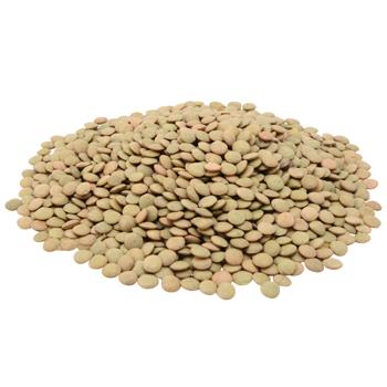 beans - buy, prices for Vostorg - photo 1