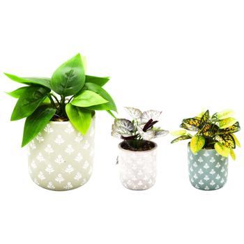 ШТУЧНА РОСЛИНА В КЕРАМ ГОРЩ 9Х - купити, ціни на Auchan - фото 1