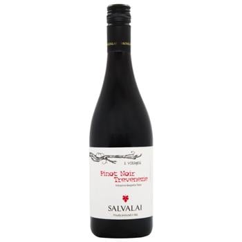 Вино Salvalai Pinot Noir del Venezie IGT красное сухое 12,5% 0,75л - купить, цены на За Раз - фото 1