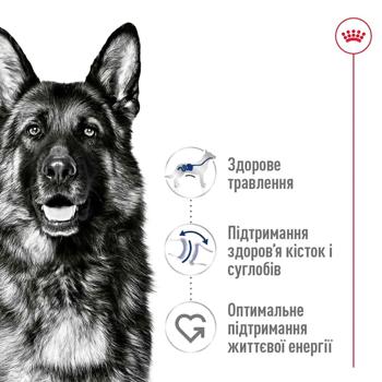 Корм сухой Royal Canin Maxi Adult с домашней птицей для собак больших пород 12кг - купить, цены на MasterZoo - фото 3