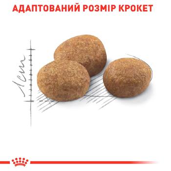 Корм сухой Royal Canin Sterilised 7+ с домашней птицей для стерилизованных кошек 8+2кг - купить, цены на MasterZoo - фото 5