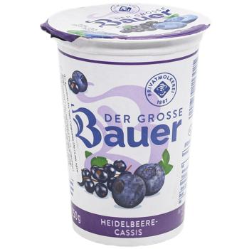 yogurt bauer black currant 3.5% 250g Germany