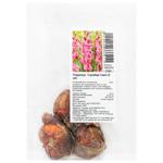 Strawberry Swell Gladiolus Bulbs 3pcs