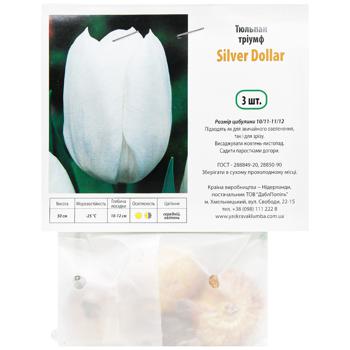 Тюльпан Тр Silver Dollar 3шт - купити, ціни на Auchan - фото 1