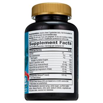 Nature's Way Stress Defense Gummy Raspberry Flavored Support to Manage Stress 60 gummies - buy, prices for Biotus - photo 2