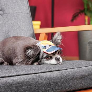 Cap Pet fashion - buy, prices for MasterZoo - photo 4