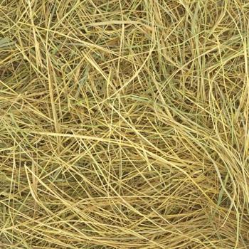 My furry 1000g - buy, prices for MasterZoo - photo 2