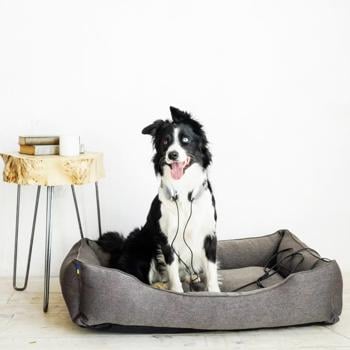 Harley and Cho Dreamer Gray Pet Bed 110x70cm Grey - buy, prices for MasterZoo - photo 5