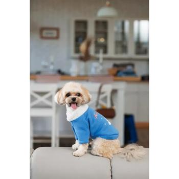Sweatshirt Pet fashion - buy, prices for MasterZoo - photo 8
