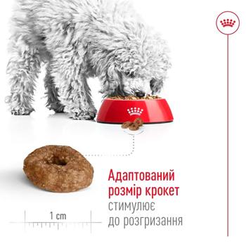 Корм сухой Royal Canin Mini Ageing 12+ для пожилых собак 800г - купить, цены на MasterZoo - фото 4