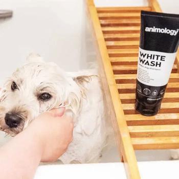 Shampoo 250ml - buy, prices for MasterZoo - photo 5