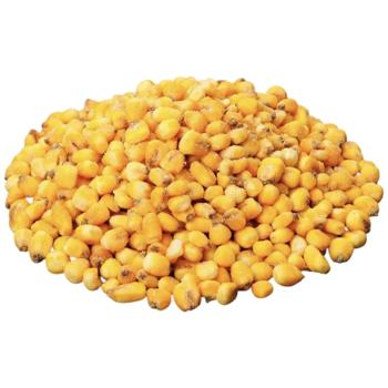 Without brand - buy, prices for Epicentr FOOD - photo 1