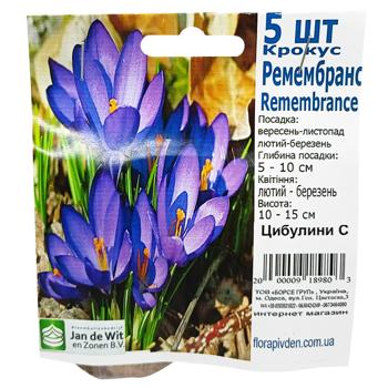 C Bulbs - buy, prices for Tavria V - photo 2