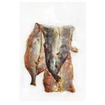 Риба путасу