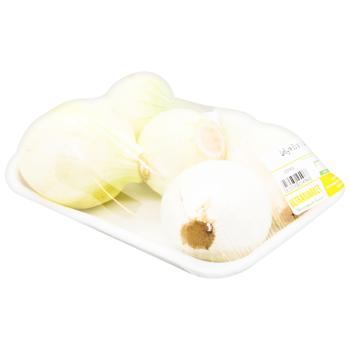 Young White Onion - buy, prices for - photo 5