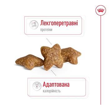 Royal Canin Mini Adult for Dogs of Small Breeds Dry 2kg + Wet 4pcs x 85g - buy, prices for MasterZoo - photo 3