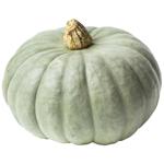 Slavuta Pumpkin