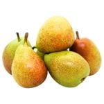 Santa Maria Pear