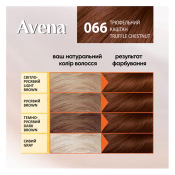 Крем-фарба для волосся стійка AVENA Shine Color 066 Трюфельний каштан - купити, ціни на - фото 4