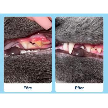 Лакомство для кошек ProDen PlaqueOff Dental Bites с овощами для ухода за полостью рта 60г - купить, цены на MasterZoo - фото 5