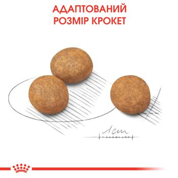 Корм сухий Royal Canin з домашньою птицею для цуценят великих порід 12+3кг - купити, ціни на MasterZoo - фото 6