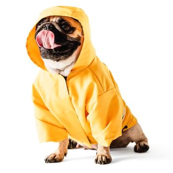 Noble Pet Moss Raincoat for Dogs s.2XL Yellow - buy, prices for - photo 8