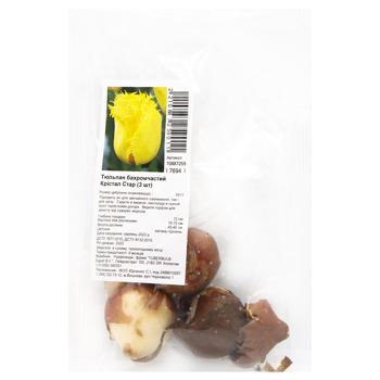 Tulip Crystal Star Bulbs 3pcs - buy, prices for ULTRAMARKET - photo 1