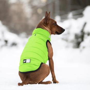 Jacket Collar - buy, prices for MasterZoo - photo 5