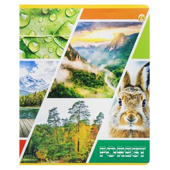 Tetrada Lined Notebook with Cardboard Cover 48 sheets - buy, prices for Torba - photo 8