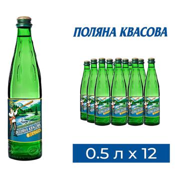 Polyana Kvasova Strongly Carbonated Mineral Water 0.5l - buy, prices for - photo 1