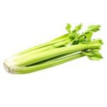 Celery Stalk