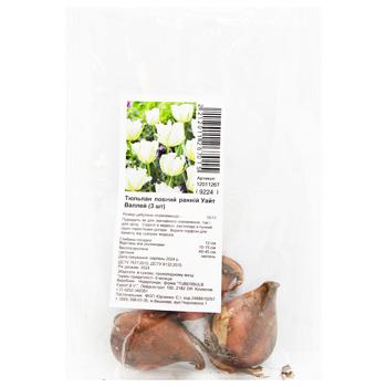 Full Early White Valley Tulip Bulbs 3pcs - buy, prices for MegaMarket - photo 1