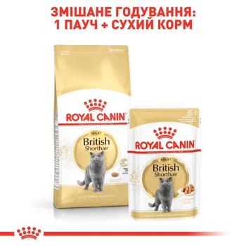 Корм сухой Royal Canin Adult для кошек породы британская короткошерстная 3,2кг+800г - купить, цены на MasterZoo - фото 5