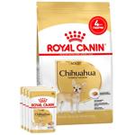 Набір корму Royal Canin Adult для собак породи чихуахуа cухий 1,5кг + вологий 4шт х 85г