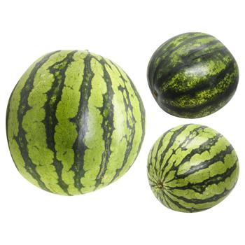 Watermelon - buy, prices for METRO - photo 1